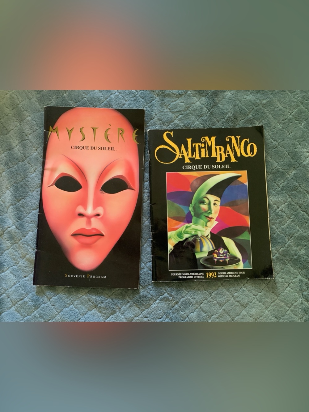 Lot Cirque Du Soleil Program Mystere Saltimbanco 1992 Souvenir North American
